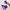 The Glitterati Xtra - Classic Stiletto Wide Fit - ENIGMA PURPLE - 8INCH