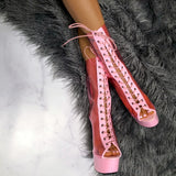 BabyGirl - 6 INCH, stripper shoe, stripper heel, pole heel, not a pleaser, platform, dancer, pole dance, floor work